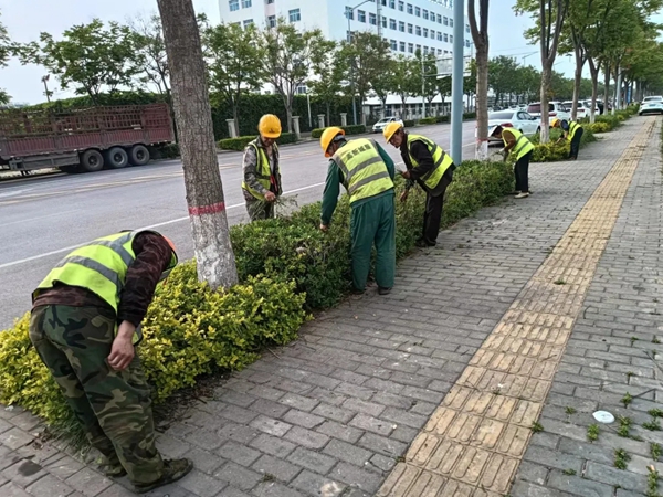 齐除草共护绿，建设绿色新家园